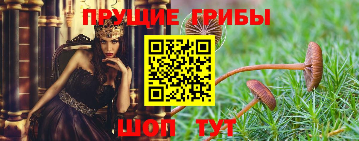 наркошоп  Вход с VPN  Барабинск  Галлюциногенные грибы Magic Shrooms 